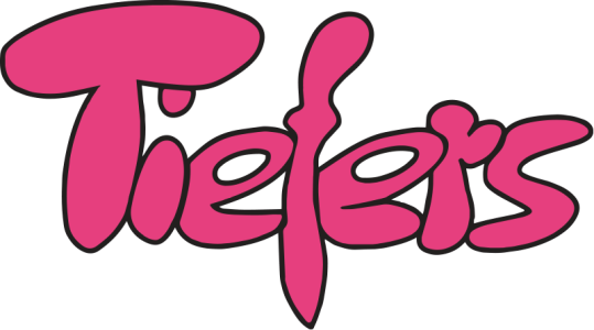 fahrschule-tiefers-logo